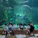 꼬망꼬망어린이집 이미지