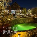 풀앤풀 | [경주] 노천탕 소노캄 경주 웰니스 풀앤스파 후기, 수영장 시설 및 할인 정보