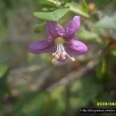 빨간 시골집 이미지