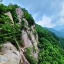 버스정류장(노인종합복지관 앞) 이미지