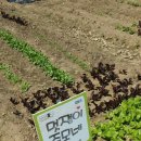 준모농장 이미지