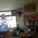 오렌지백반 이미지