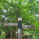 고개쉼터 | [손목닥터9988 서울둘레길] 4코스 망우*용마산코스(화랑대역/깔딱고개쉼터), 구리둘레길 후기