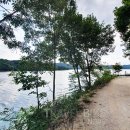 호수길 걷기명상 이미지