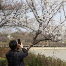 사월문
