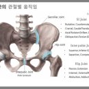 소운소 Ark Gym 이미지