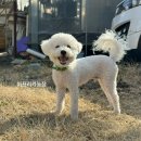 이강산농장 이미지