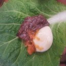 군위참좋은한우 이미지