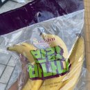 영림청과
