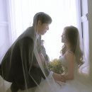 필름감성웨딩스냅 만족도 1000% 로그레인 스튜디오