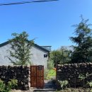 하귤소담 이미지