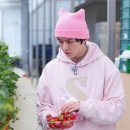 토끼와거북이2 이미지