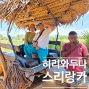 하늘호수&어부와자연인 | 스리랑카 여행 패키지 후기 히리와두나에서 만난 꾸밈없는 전통문화체험