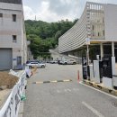 국제아리랑식당 네이버블로그