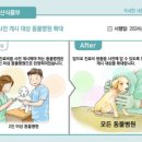 더존 동물병원 이미지