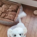 우리집앞동물병원 이미지