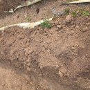 용인농장 이미지