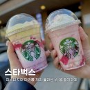 마카롱 블라썸 | [스타벅스] 피스타치오 마카롱 신메뉴 체리 블라썸 슈 폼 딸기 라떼 후기 (칼로리, 영양성분) / 내돈내산