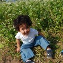 준혁이네집 이미지