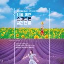아낌없이주는폰 이미지