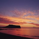 (주)제주미니미니랜드 이미지