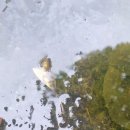 푸른숲리조트 이미지