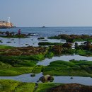 대변해변2 이미지