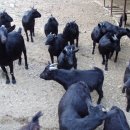 범화보건진료소 이미지