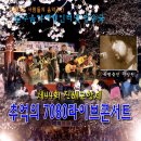 7080 추억의 콘서트 이미지