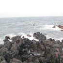 그린승마랜드 이미지