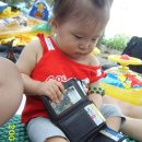 두메관광농원 이미지