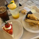 나루터로4길1-20_ | 26년 1월 기록