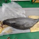 국립수산과학원 이미지