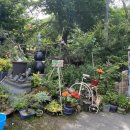 팔공사슴농장 이미지