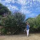 아산 외암민속마을, 강당골계곡(2025. 8. 12.) 이미지