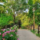 한솔뜰근린공원 이미지