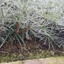 금송하우스 이미지