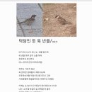 덕담인 듯 육 년을 이미지