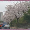 극동오토서비스 이미지