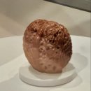 귀족호도박물관 | 6학년생들의 7박 8일 대만 자유 여행 (2026.2.2~9) 2026.2.4(수) 셋째날 오전