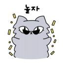 댄싱컵대전