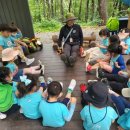 대청유치원 이미지