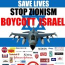 이스라엘 대량학살 막을 수 있는 유일한 방법 -BDS입니다. 이스라엘과 유대인 판매 모든 것에 Boycott(불매, 불참 등), Divestment(투자중단), Sanctions(제재) 이미지