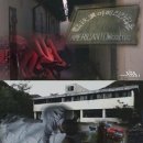 몽키타운 이미지