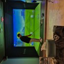 해마루스크린골프 이미지