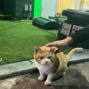 쌍용노래연습장 이미지