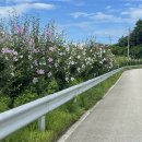 무궁화100리길 이미지