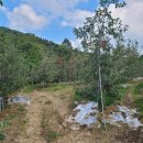 백자리경로당 이미지