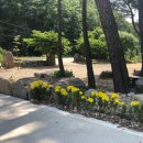 별빛뜰 愛 이미지