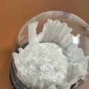 다오 | 부천 심곡동 맛집 다오곳 후기｜두바이 찹쌀떡·과일 찹쌀떡 맛집